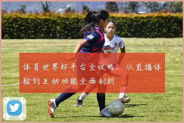 体育世界杯平台全攻略:从直播体验到互动功能全面剖析