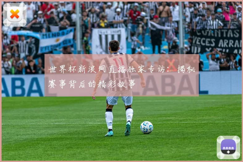 世界杯新浪网直播独家专访：揭秘赛事背后的精彩故事