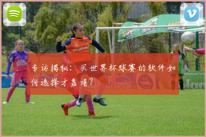 专访揭秘：买世界杯球赛的软件如何选择才靠谱？