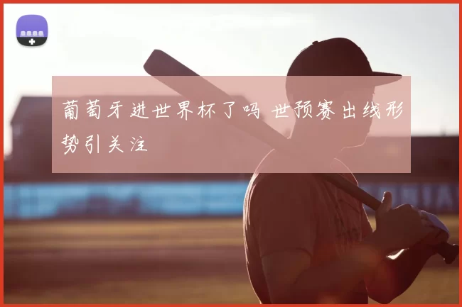 葡萄牙进世界杯了吗 世预赛出线形势引关注