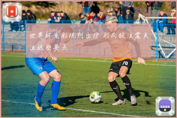 世界杯竞彩规则出炉 彩民投注需关注这些要点