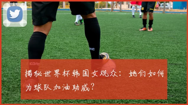 揭秘世界杯韩国女观众：她们如何为球队加油助威？