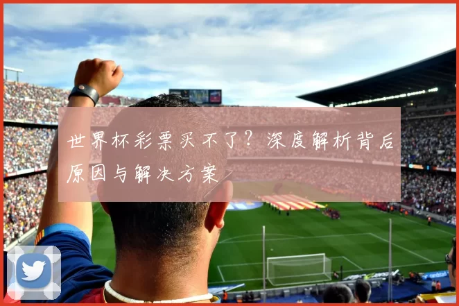 世界杯彩票买不了？深度解析背后原因与解决方案