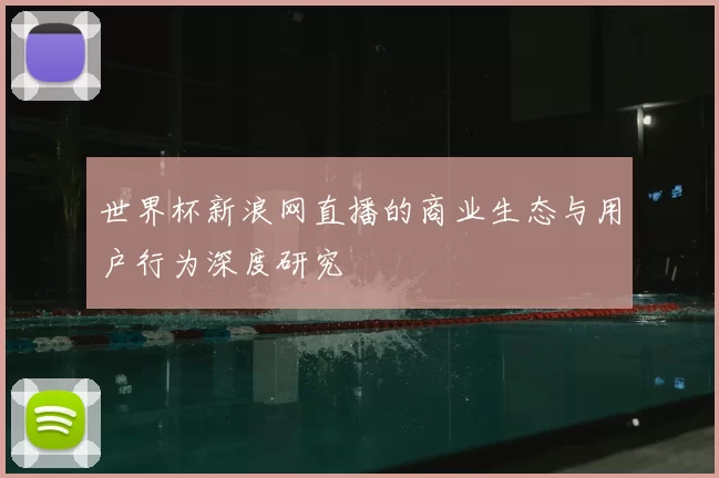 世界杯新浪网直播的商业生态与用户行为深度研究