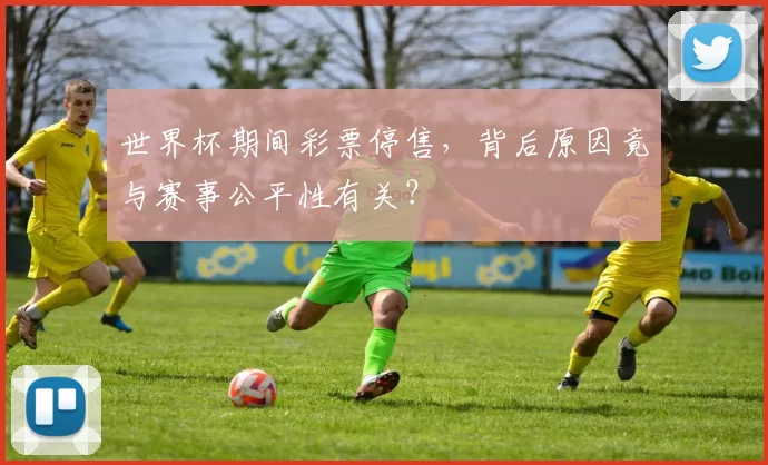 世界杯期间彩票停售，背后原因竟与赛事公平性有关？