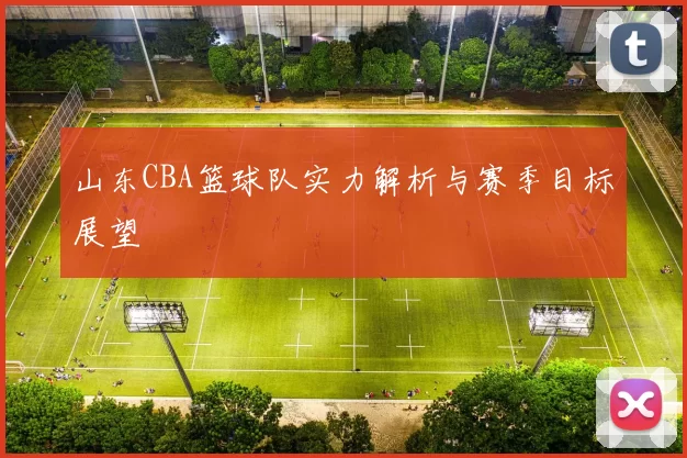 山东CBA篮球队实力解析与赛季目标展望