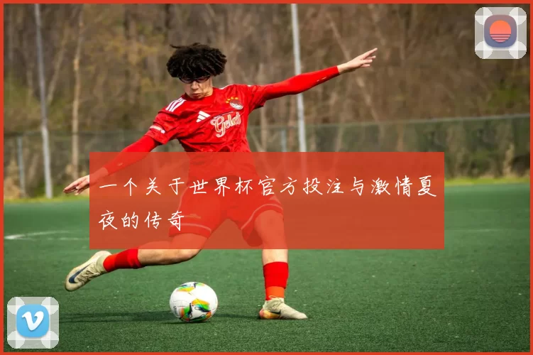 一个关于世界杯官方投注与激情夏夜的传奇