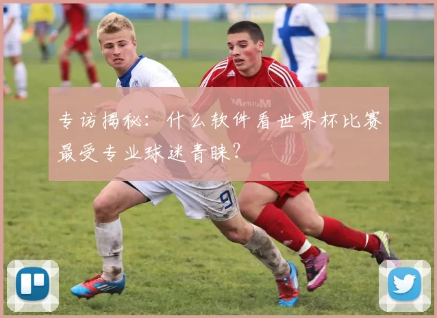 专访揭秘：什么软件看世界杯比赛最受专业球迷青睐？