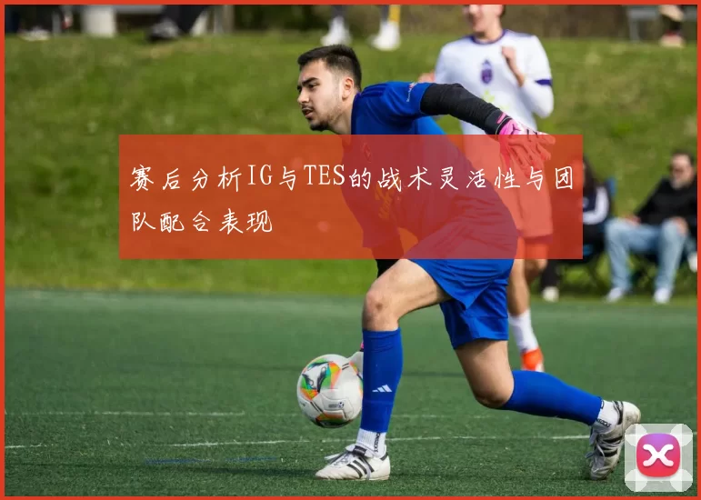 赛后分析IG与TES的战术灵活性与团队配合表现