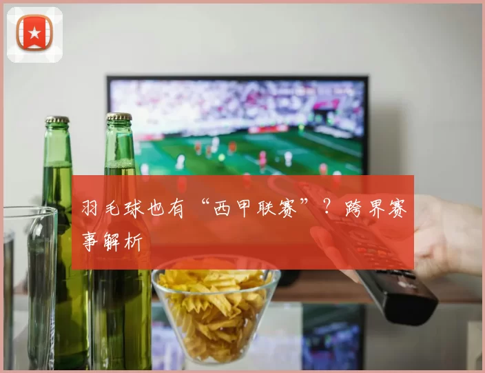 羽毛球也有“西甲联赛”?跨界赛事解析