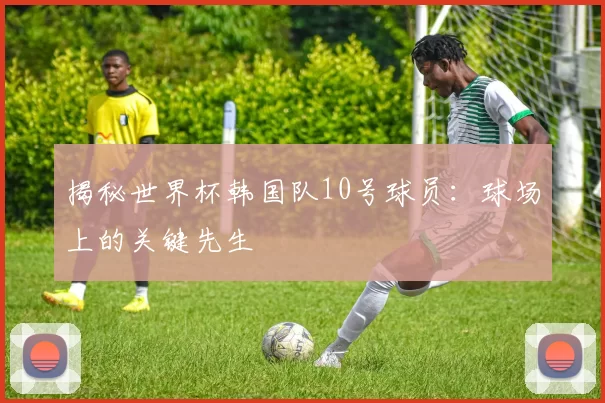 揭秘世界杯韩国队10号球员:球场上的关键先生