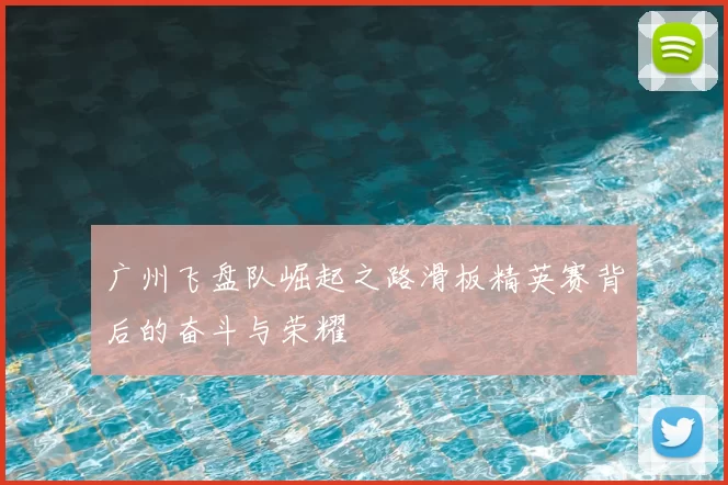 广州飞盘队崛起之路滑板精英赛背后的奋斗与荣耀