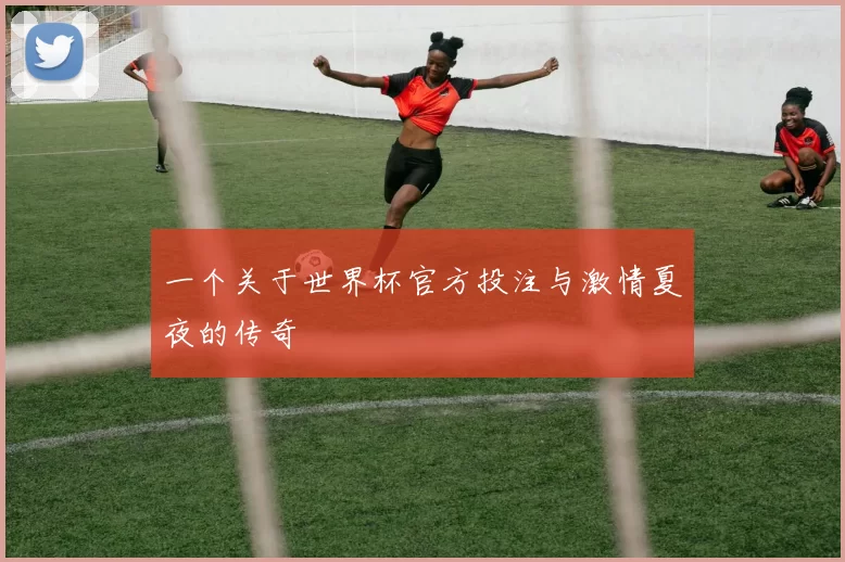 一个关于世界杯官方投注与激情夏夜的传奇