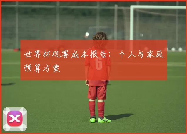 世界杯观赛成本报告：个人与家庭预算方案