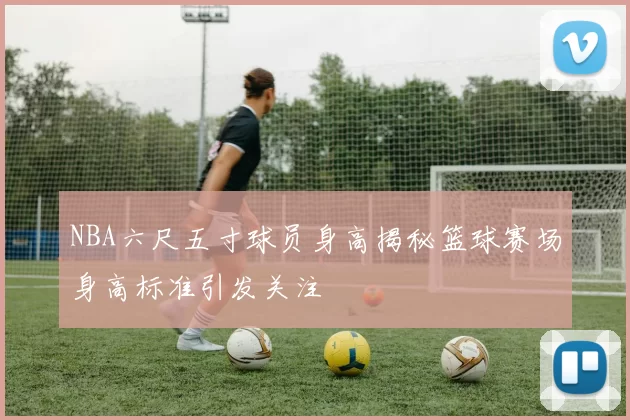 NBA六尺五寸球员身高揭秘篮球赛场身高标准引发关注