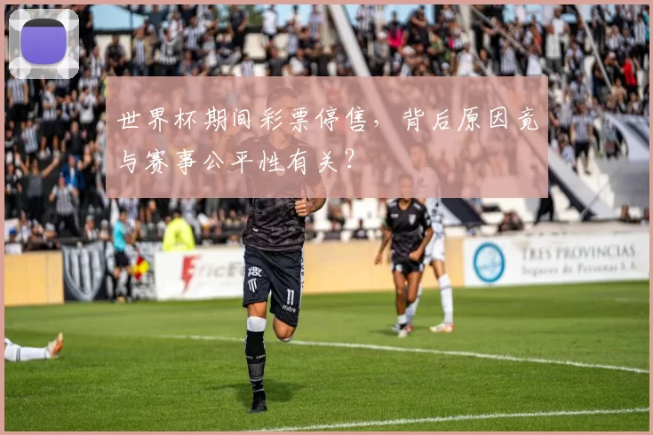 世界杯期间彩票停售,背后原因竟与赛事公平性有关?