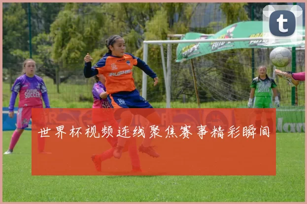 世界杯视频连线聚焦赛事精彩瞬间